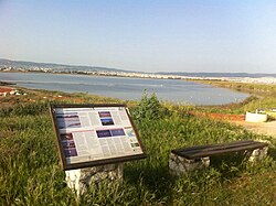 Kalochori Lagoon Λιμνοθάλασσα Καλοχωρίου