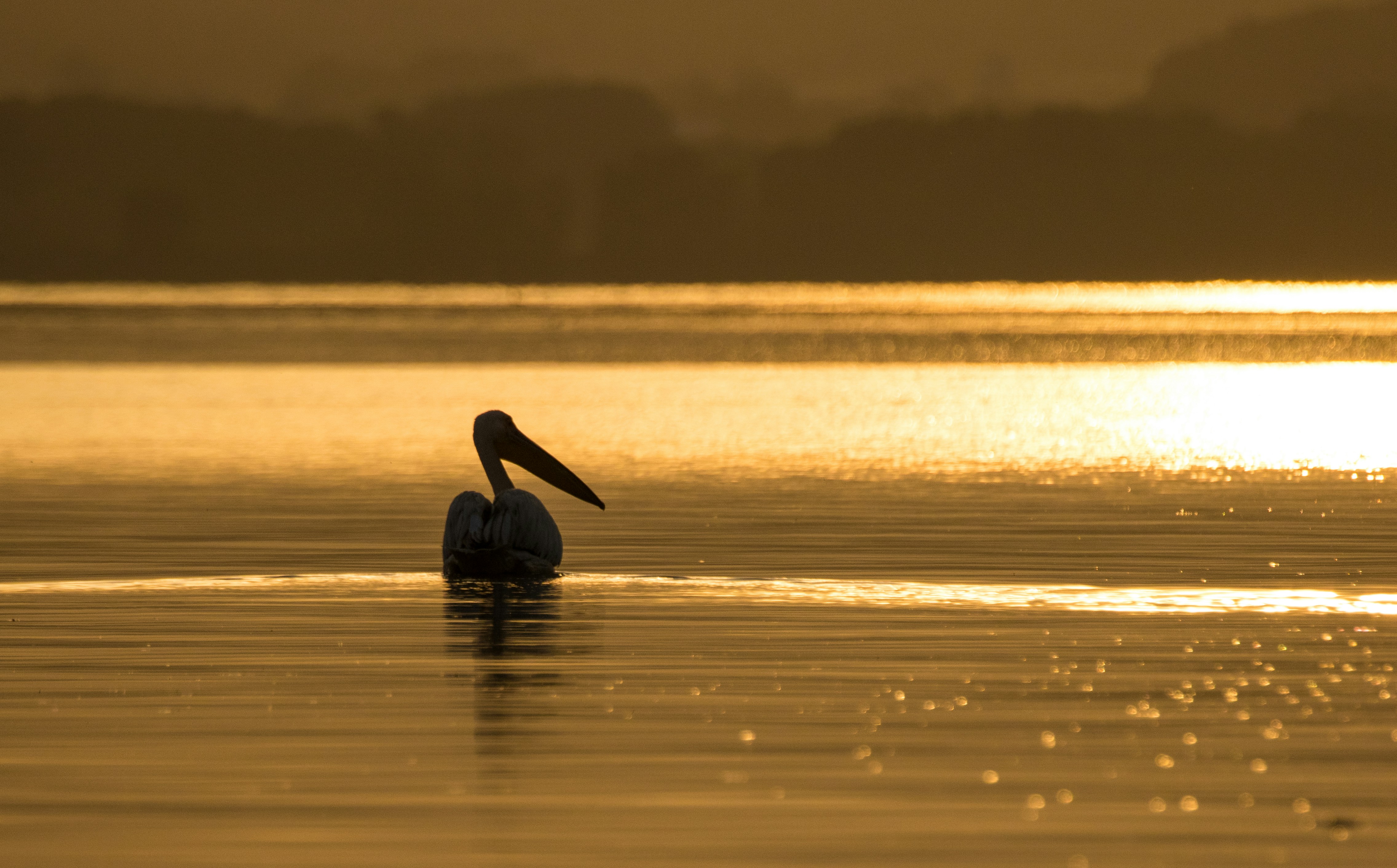 Kerkini Lake national park